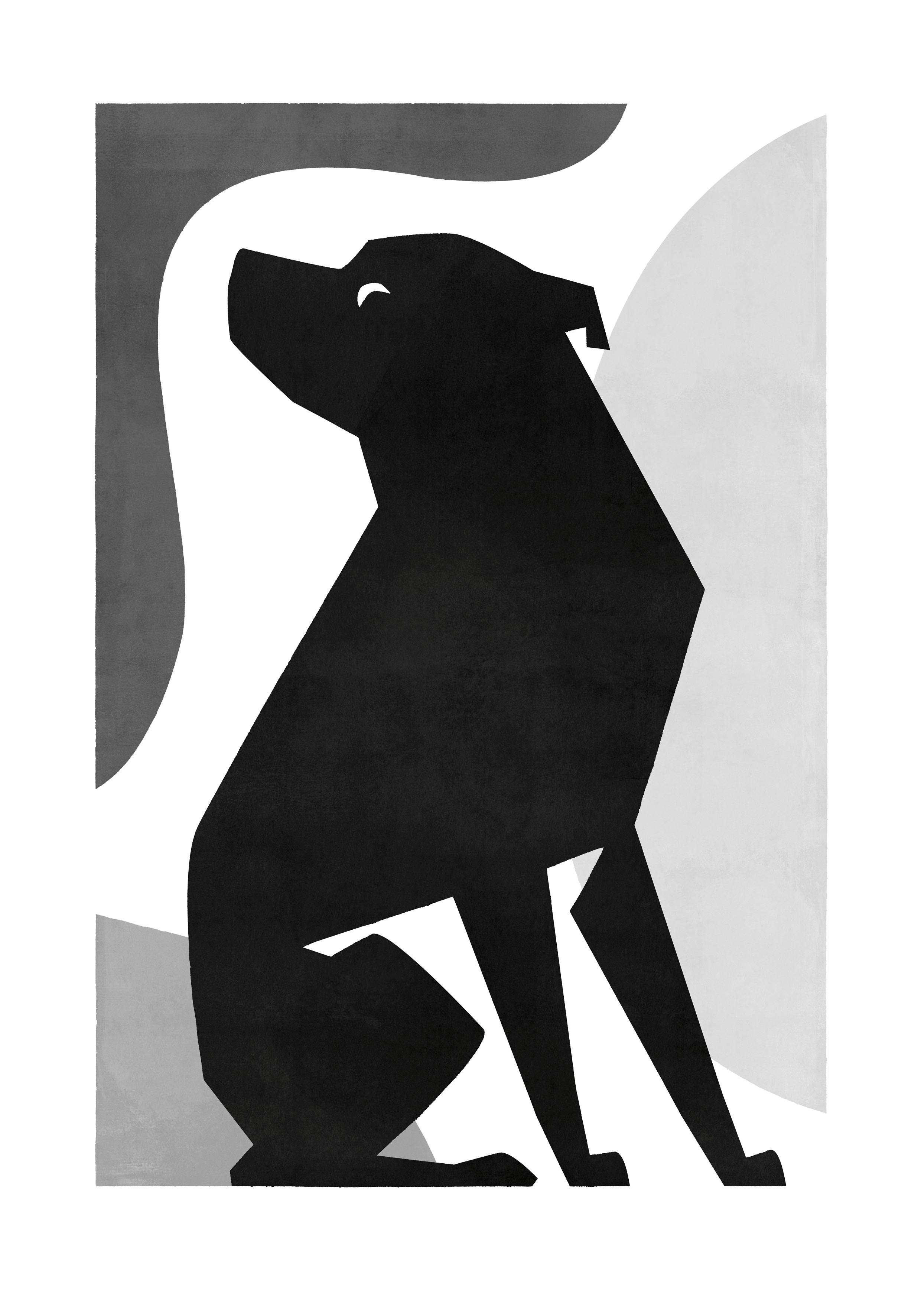 American Staffordshire Pitbull Puppies Pitbull Terrier Ukc Baby Pitbulls  Art Cute Blue Nose Pitbull Puppies Pitbull, image size:2480x3543